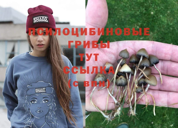 дмт Алзамай
