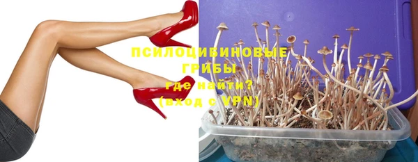 дмт Алзамай
