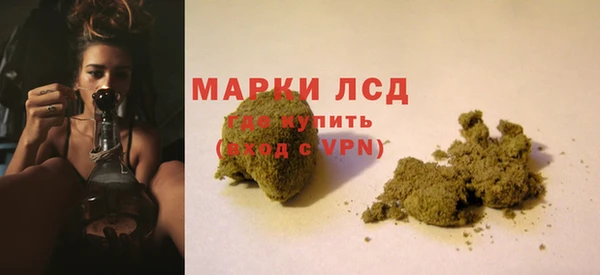 дмт Алзамай