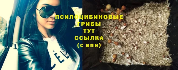 дмт Алзамай
