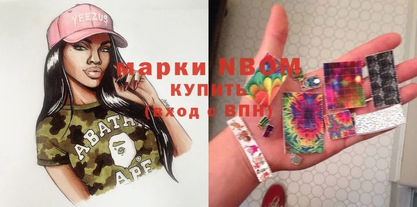 дмт Алзамай