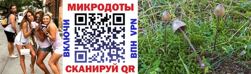 Псилоцибиновые грибы мицелий  Купить где  Славск 